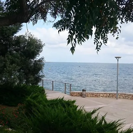 San Carlos *